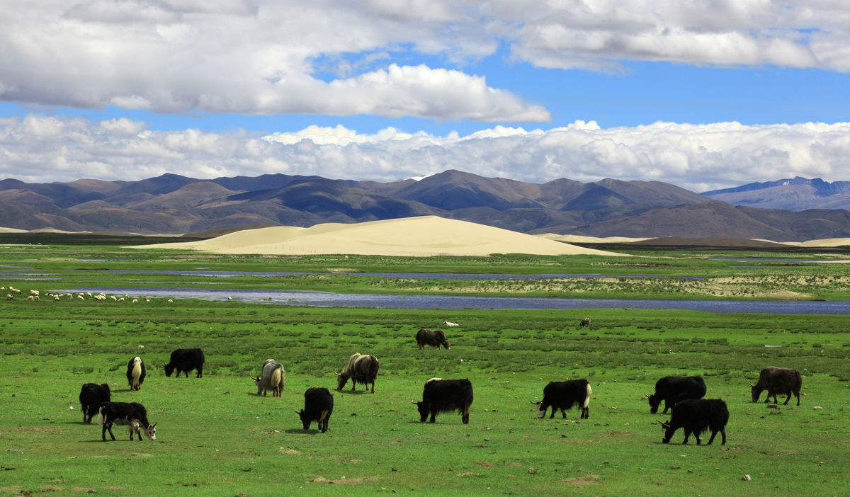 15331142781716.jpg 15331142781716.jpg